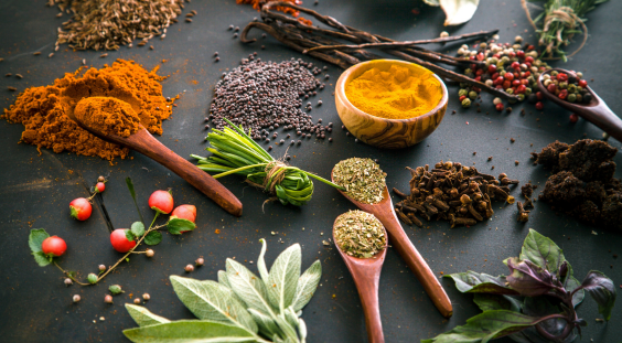 Anti-Viral Herbs for Immune Support | Sacred Plant Co