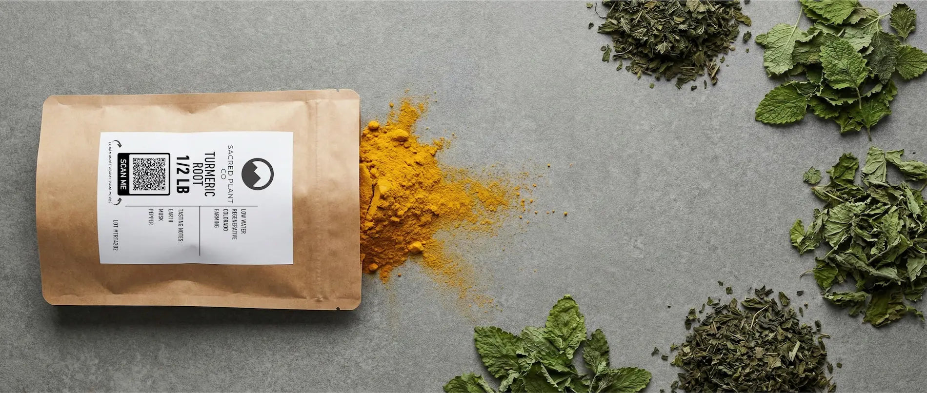 Vibrant turmeric root powder spilling from a kraft paper pouch onto a grey stone surface, accented by dried nettle and lemon balm leaves from the Sacred Plant Co Ayurvedic herbs collection.
