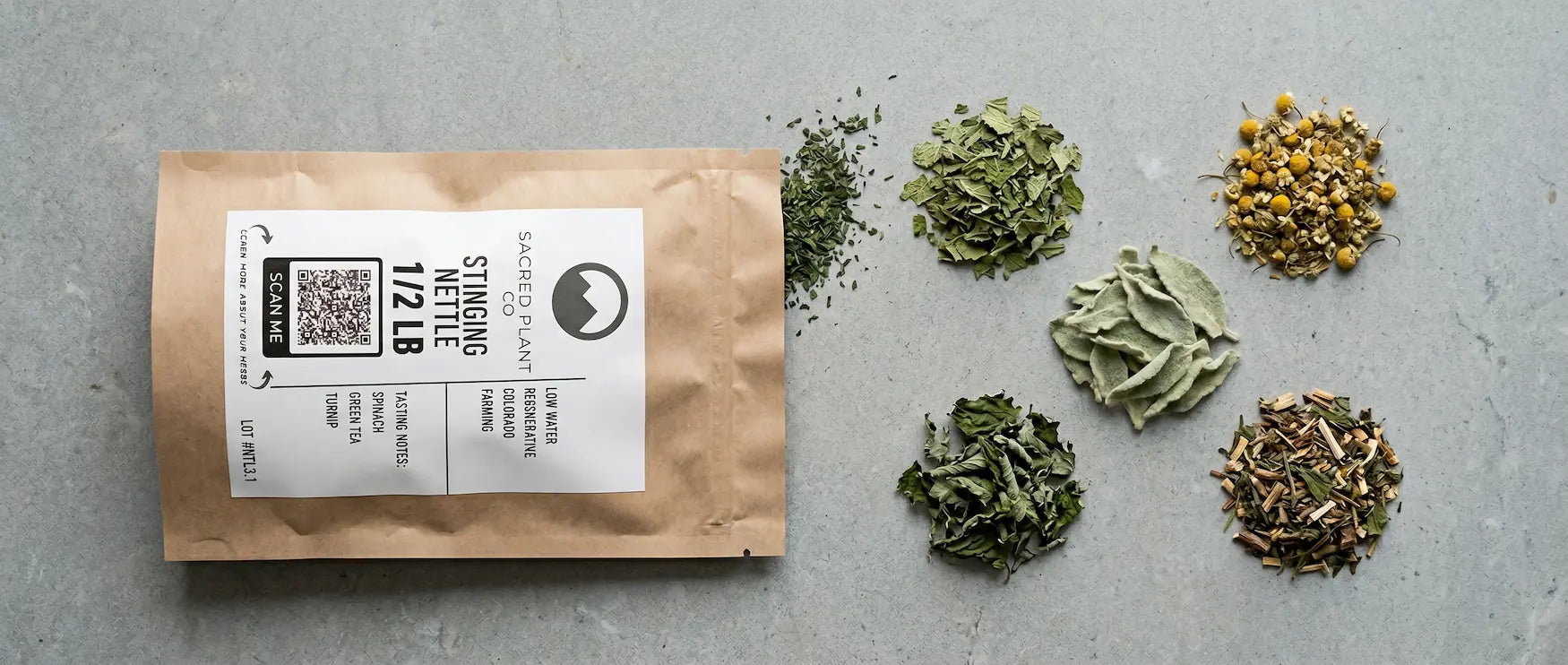 European Traditional Medical Herbs collection flatlay featuring a Sacred Plant Co. bag of Stinging Nettle alongside botanical samples of chamomile, mullein, lemon balm, raspberry leaf, and dandelion on a raw concrete background.