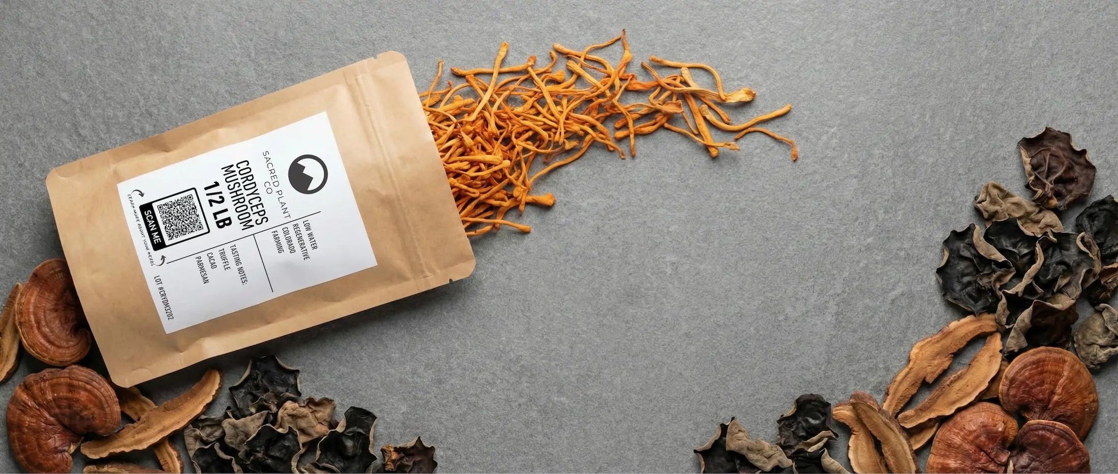 Top-down view of premium dried medicinal mushrooms for the Sacred Plant Co Sacred Mushrooms collection. A brown kraft pouch spills vibrant orange dried cordyceps onto a grey stone surface, framed by rustic dried reishi slices and dark wood ear mushrooms.