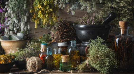 European Cottage full of tradional european herbs