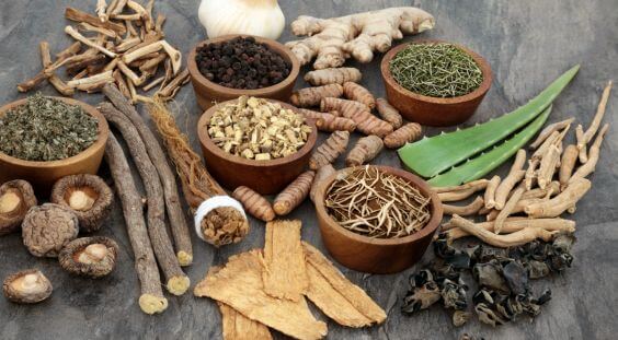 Various root herbs in bowls on grey table. 