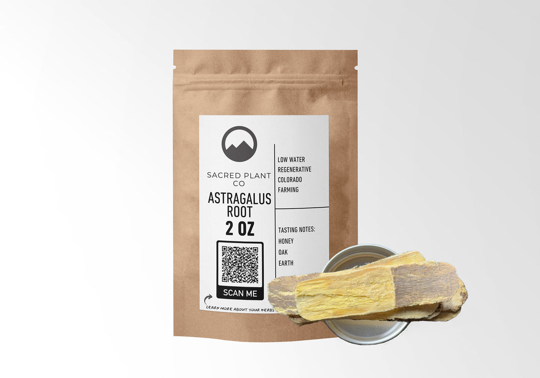Sacred Plant Co Astragalus Root 2 OZ in eco-friendly kraft paper packaging with a sample in a silver tin, used for immune support, reducing inflammation, and improving energy levels.