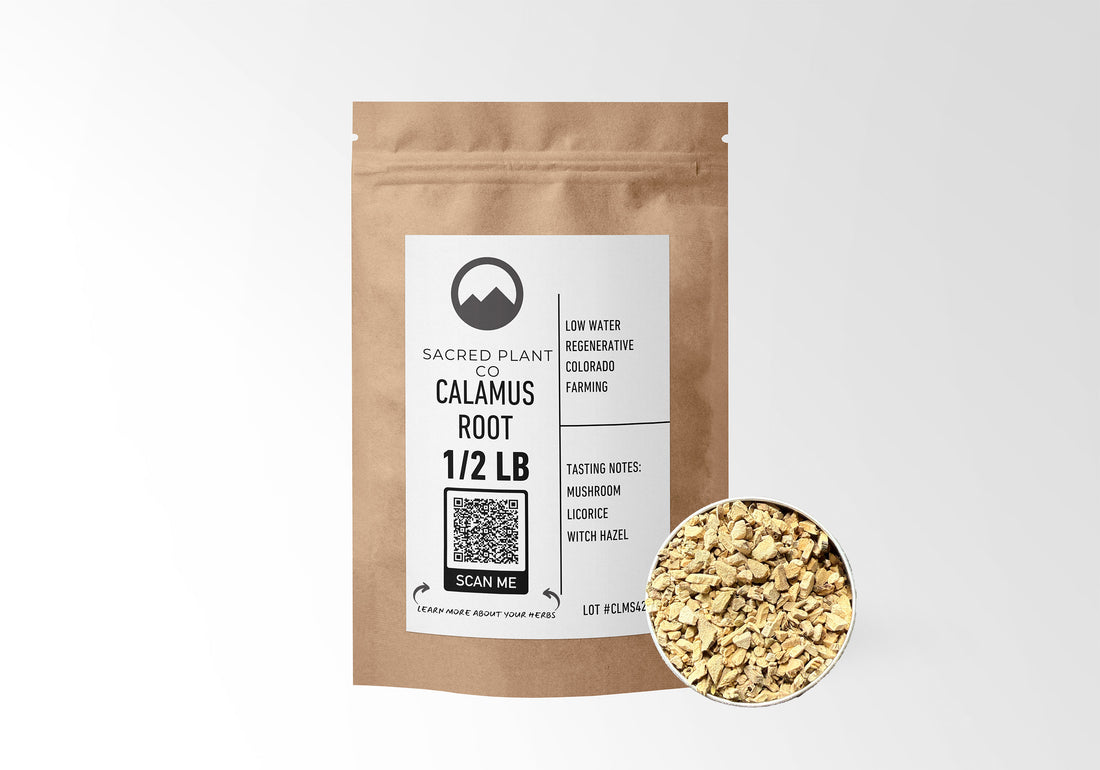 Sacred Plant Co Calamus Root 1/2 LB in eco-friendly kraft paper packaging with a sample in a silver tin, used for digestive health, easing stress, and promoting mental clarity.