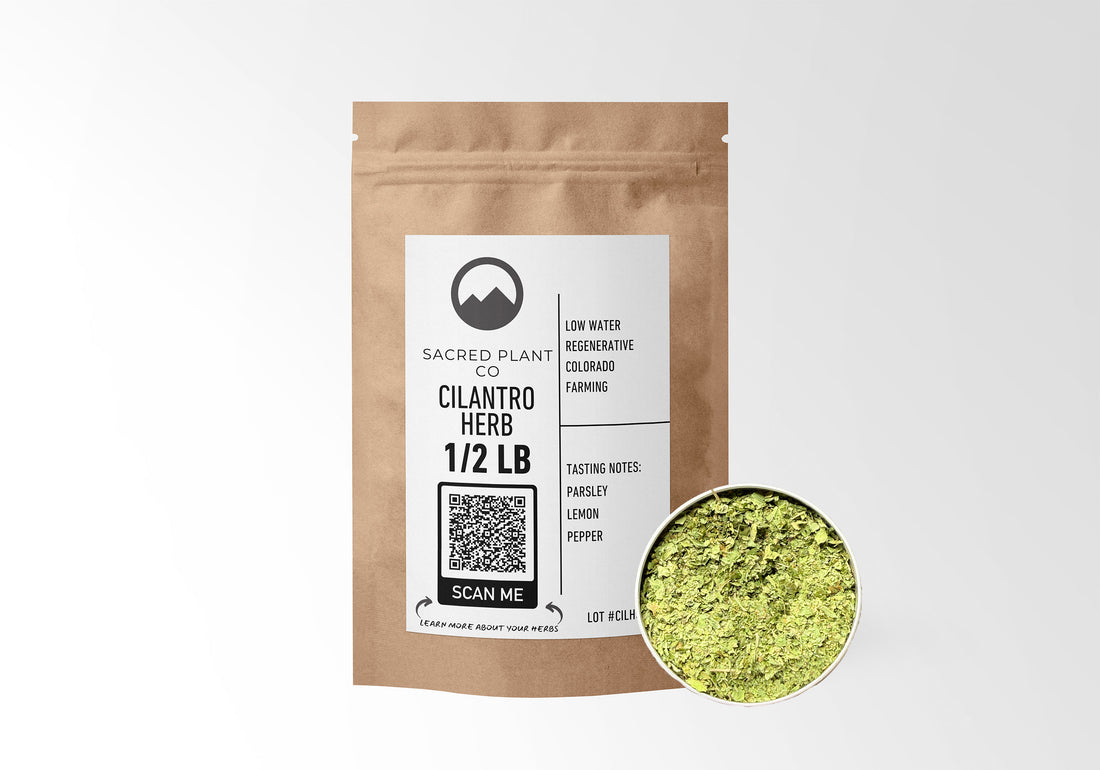 Sacred Plant Co Cilantro Herb 1/2 LB in eco-friendly kraft paper packaging with a sample in a silver tin, used for aiding digestion, supporting detoxification, and enhancing flavor in culinary dishes.