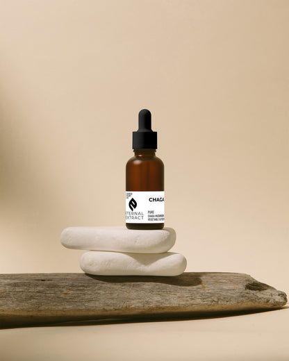 Sacred Plant Co Chaga Mushroom Eternal Extract in an amber glass bottle, balanced on white stones with driftwood, set against a soft beige background for a calm, nature-inspired aesthetic.