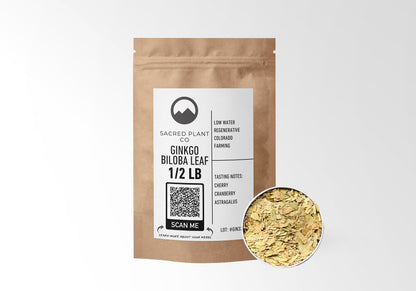 Sacred Plant Co Ginkgo Biloba Leaf 1/2 LB kraft paper packaging with Ginkgo Biloba Leaf sample in silver tin showcasing sustainably grown leaves for natural cognitive support and wellness benefits.