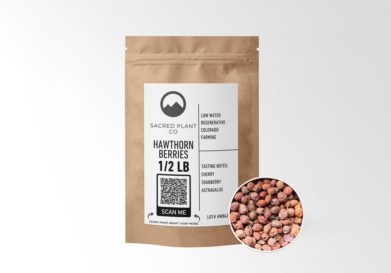 Sacred Plant Co Hawthorn Berries 1/2 LB kraft paper packaging with berry sample in silver tin showcasing sustainably harvested hawthorn berries for cardiovascular health and antioxidant benefits.