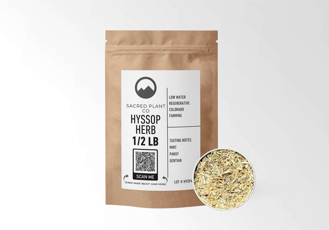Sacred Plant Co Hyssop Herb 1/2 LB in kraft paper packaging with a sample in a silver tin, used for respiratory health, digestive support, and promoting relaxation.