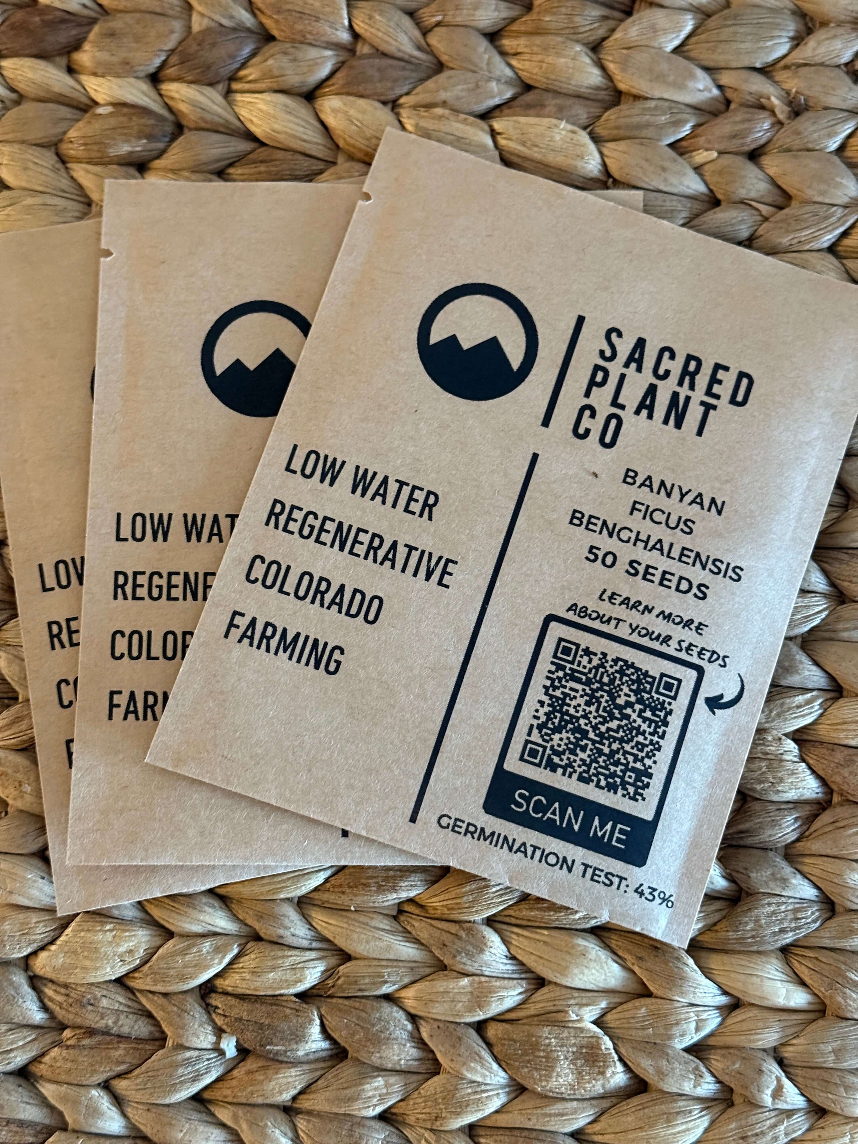 Banyan Tree Seeds (Ficus benghalensis) | Sacred Plant Co