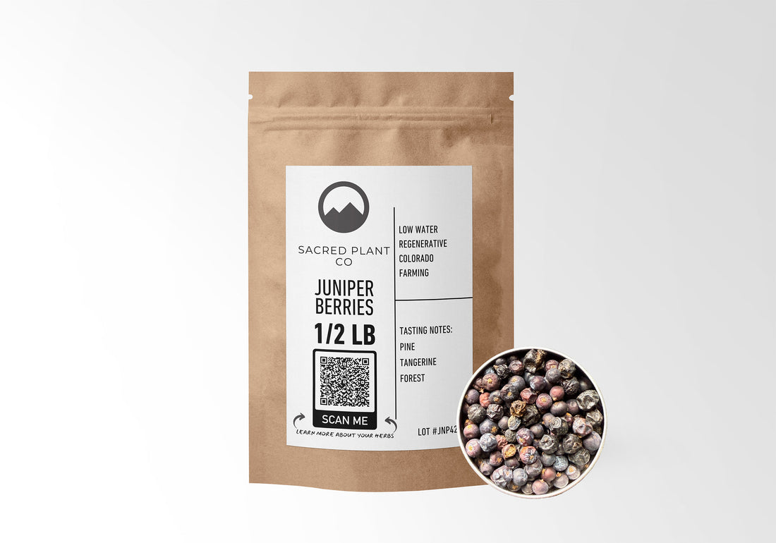 Sacred Plant Co Juniper Berries 1/2 LB in eco-friendly kraft paper packaging with a sample in a silver tin, commonly used for digestive health and as a natural diuretic.