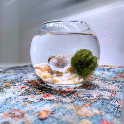 A glass Marimo Moss Ball aquarium viewed from the side, displaying a single green Marimo Moss Ball, a geode half, and an assortment of polished stones on a patterned textile.