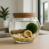 Eco-friendly Marimo moss ball aquarium featuring ancient Paleozoic fossil, driftwood, and natural stones, perfect for modern home decor