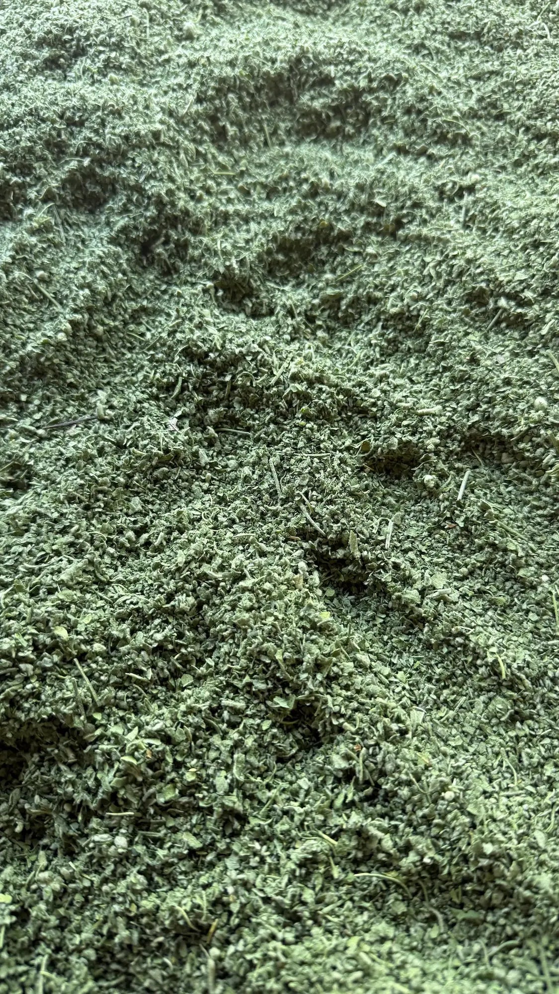 Marshmallow Leaf, Whole Loose Leaf (Althaea officinalis): Dried Mallow Tea Herb, US-Grown Sancta Herba Reserve