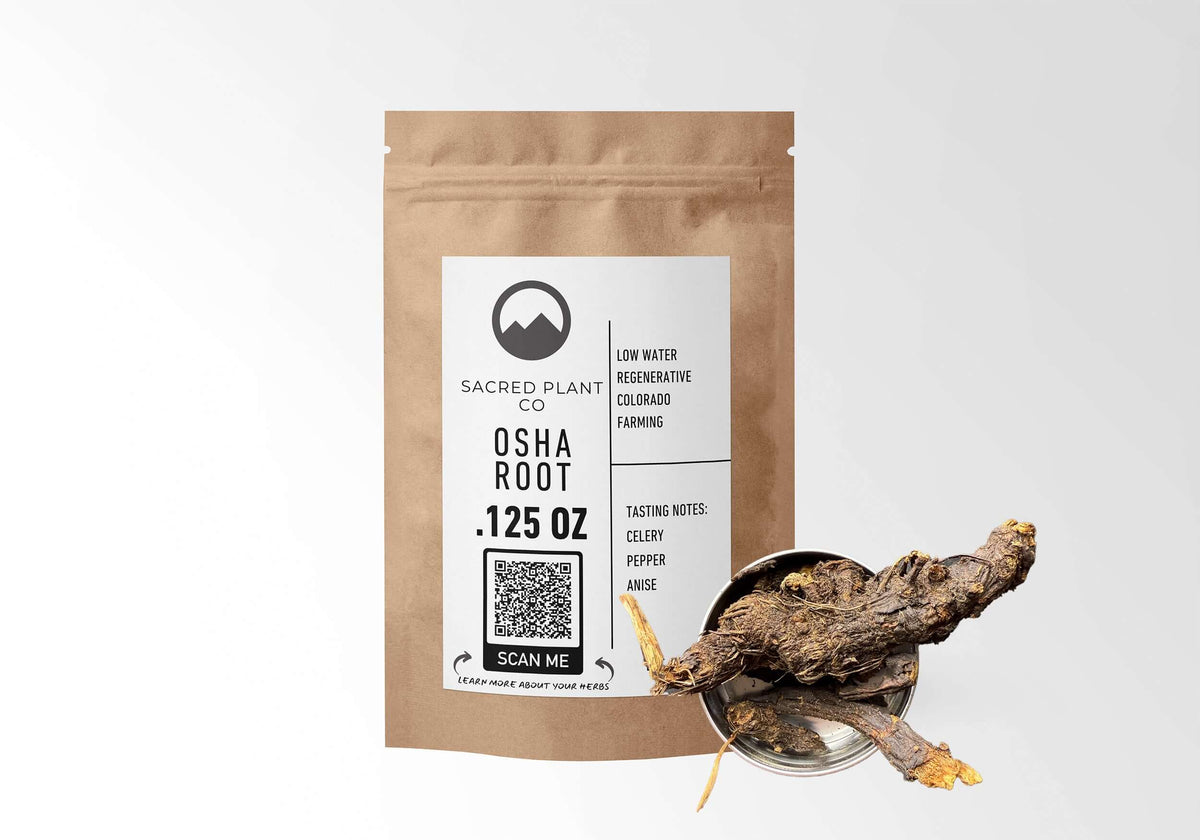 Whole Osha Root: Wild Bear Root for Tea and Steam – Sacred Plant Co