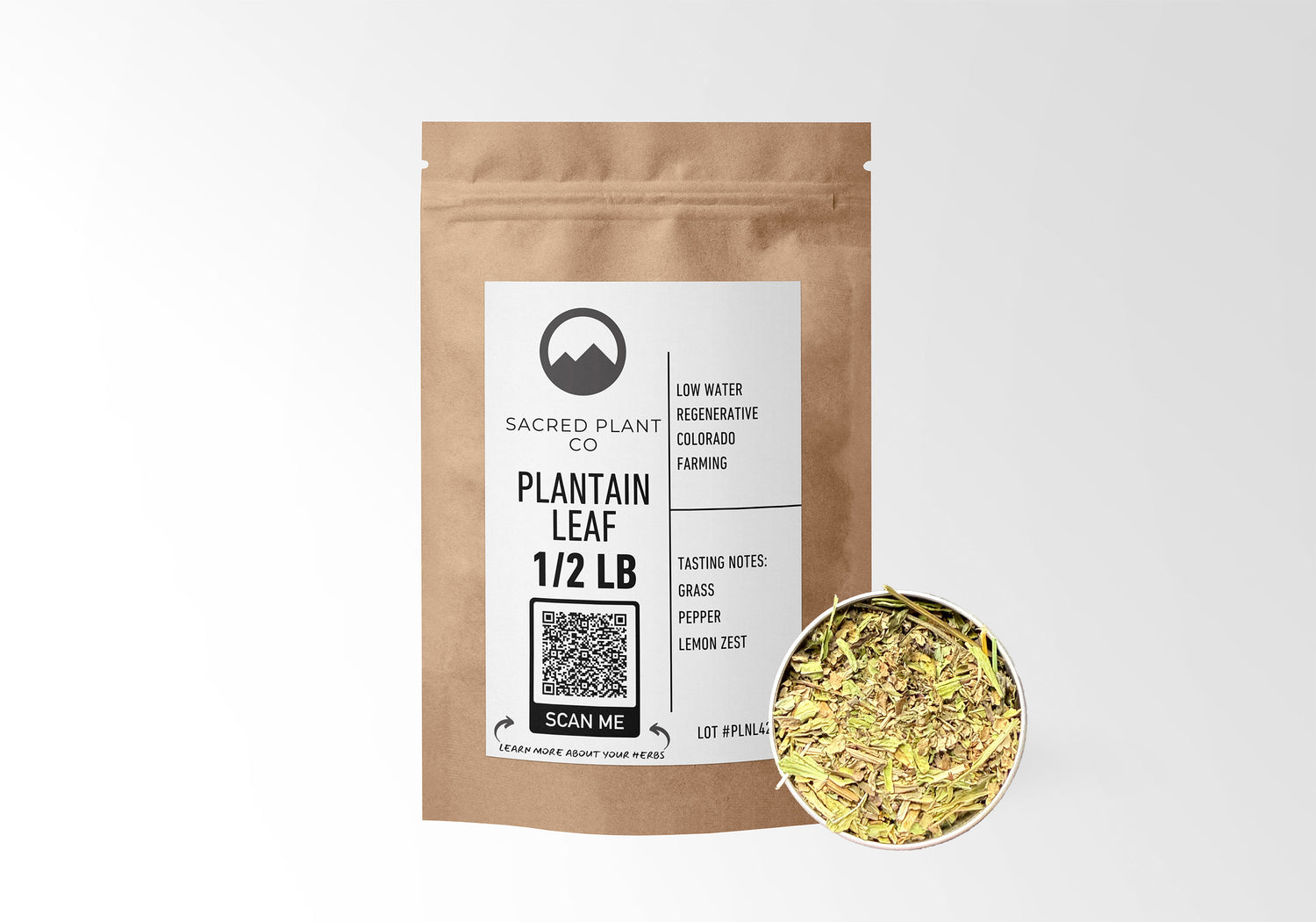 Sacred Plant Co Plantain Leaf 1/2 LB kraft paper packaging with sample in silver tin showcasing sustainably grown herb for use in wound healing and respiratory health.