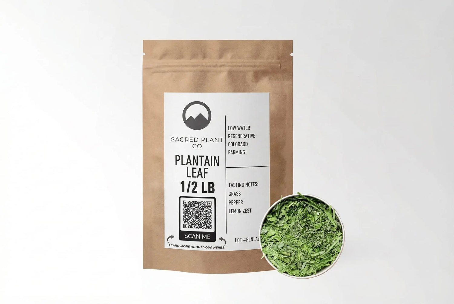 Sacred Plant Co Plantain Leaf 1/2 LB kraft paper packaging with sample in silver tin showcasing sustainably grown herb for use in wound healing and respiratory health.