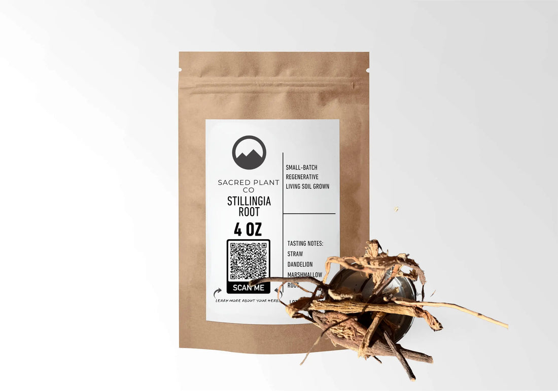A brown paper bag of Stillingia Root from Sacred Plant Co. is shown against a white background. The bag has a white label with the company logo, product name, weight (4 OZ), a QR code, and tasting notes of straw, dandelion, and marshmallow root. Beside the bag is a small metal bowl overflowing with pieces of dried root.