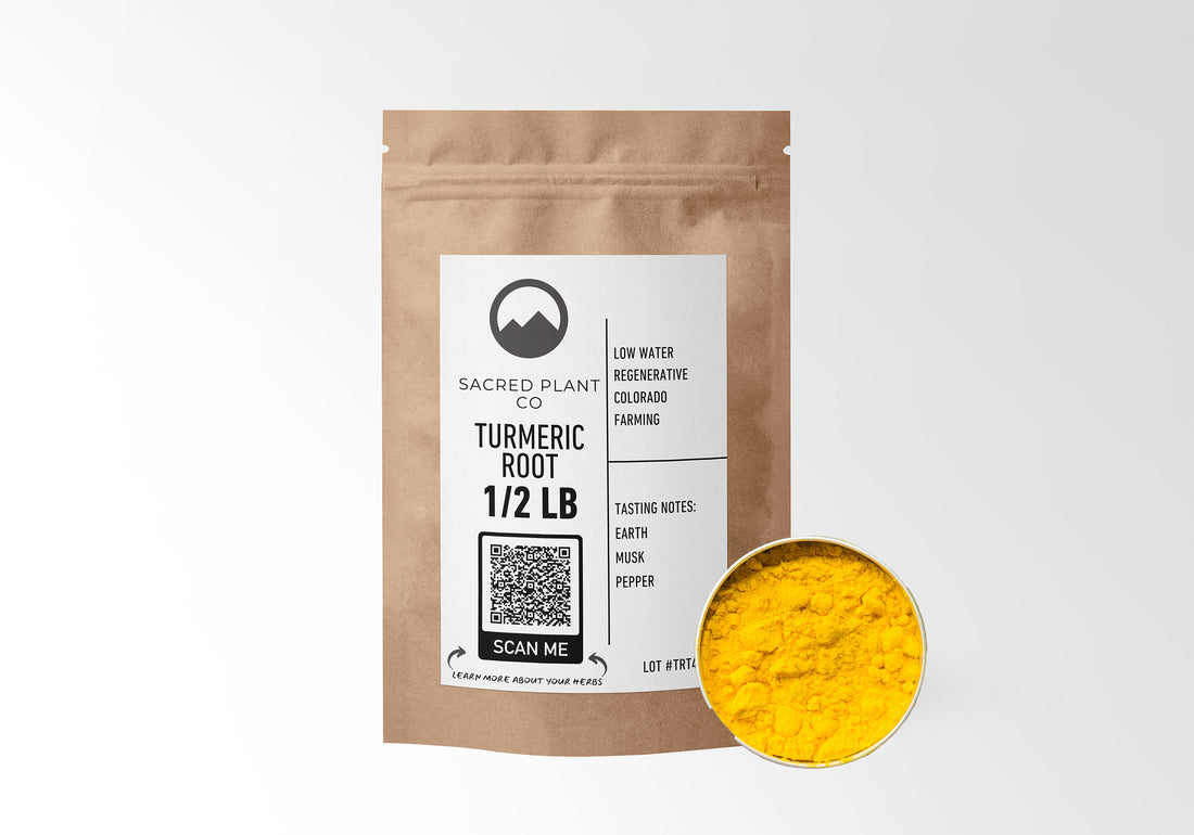 Sacred Plant Co Turmeric Root Powder in eco-friendly kraft paper packaging, sample in a silver tin, known for its powerful anti-inflammatory and antioxidant properties, supports overall health and wellness.