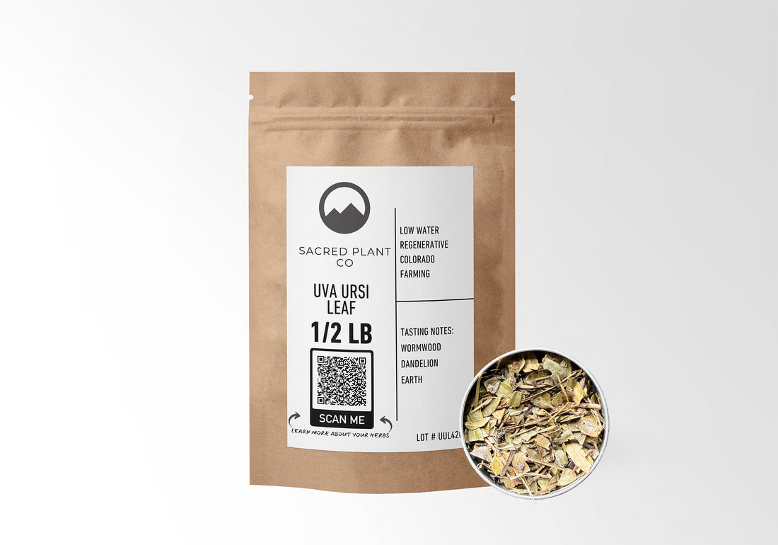 Sacred Plant Co Uva Ursi Leaf 1/2 LB in eco-friendly kraft paper packaging, sample in a silver tin, traditionally used for urinary tract health and kidney support.