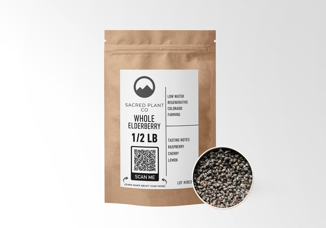 Sacred Plant Co Whole Dried Elderberry 1/2 LB in eco-friendly kraft paper packaging, featuring a sample of the dried elderberries in a silver tin, known for supporting immune health and reducing inflammation.