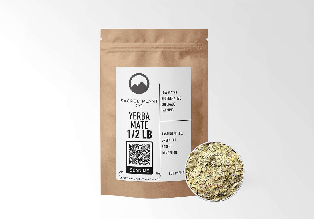 Sacred Plant Co Yerba Mate 1/2 LB in kraft paper packaging with a sample in a silver tin, highlighting the use of Yerba Mate for natural energy, mental clarity, and antioxidant support.