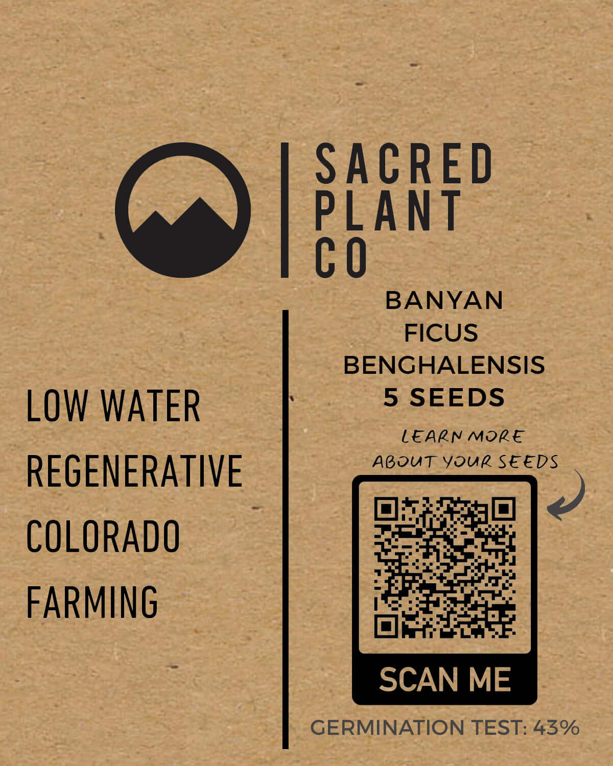 Banyan Tree Seeds (Ficus benghalensis) | Sacred Plant Co