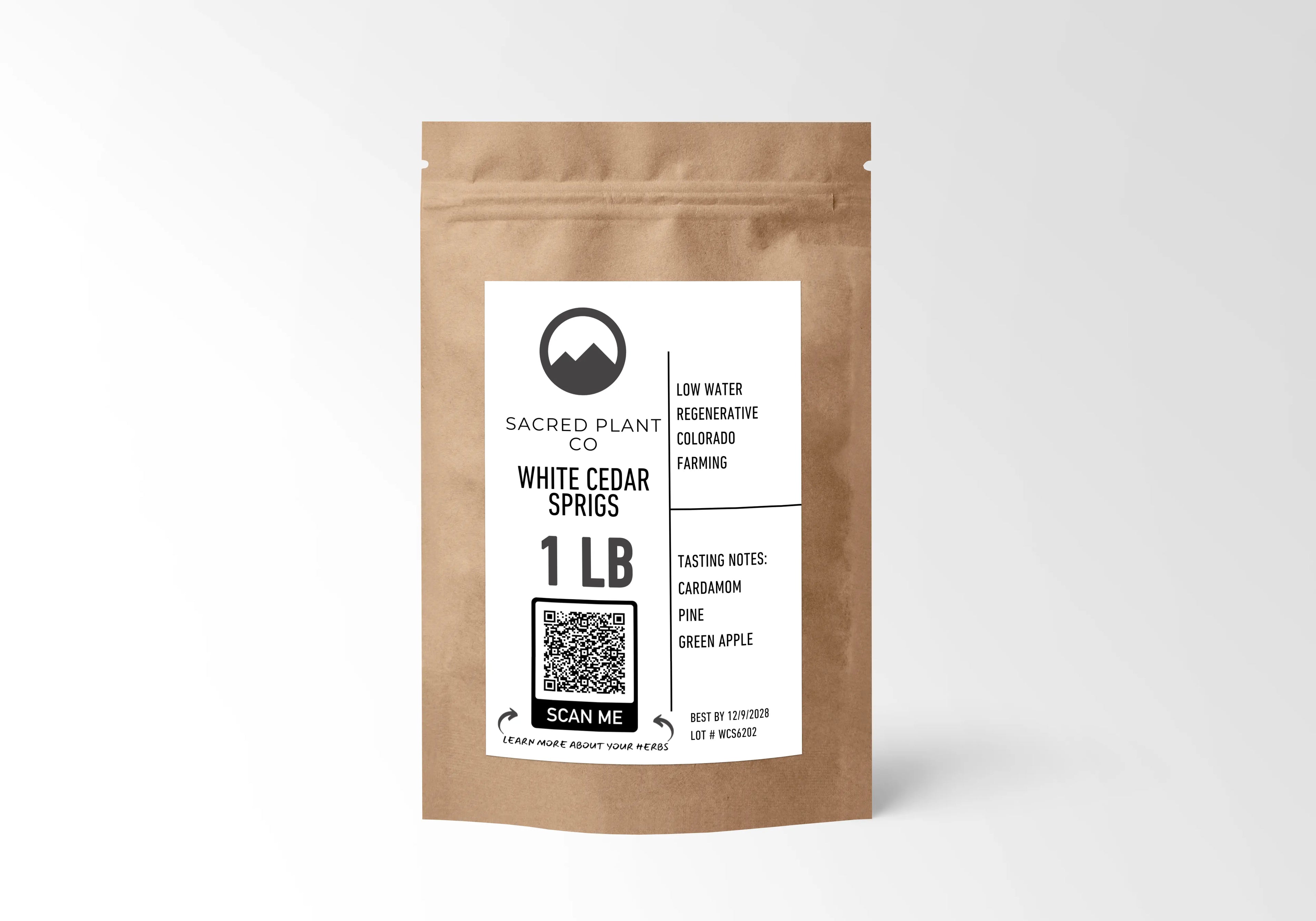 Sacred Plant Co White Cedar Sprigs – Premium Wildcrafted Evergreen (Thuja occidentalis)