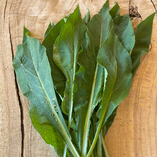 Comfrey Leaf in Bulk - Premium Comfrey Leaf - Healing Herb - Knitbone Herb