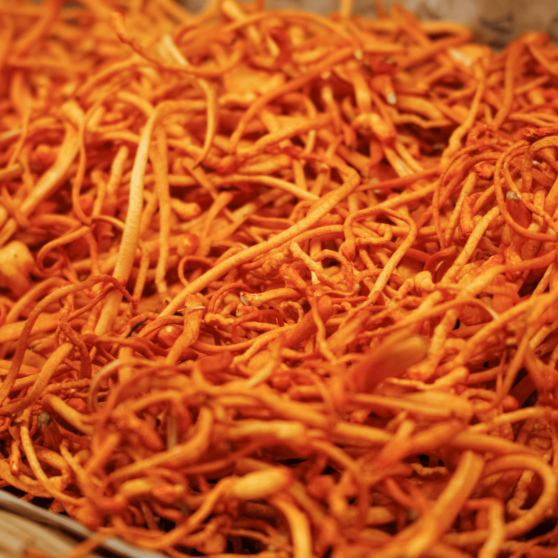 Close-up of Sacred Plant Co&