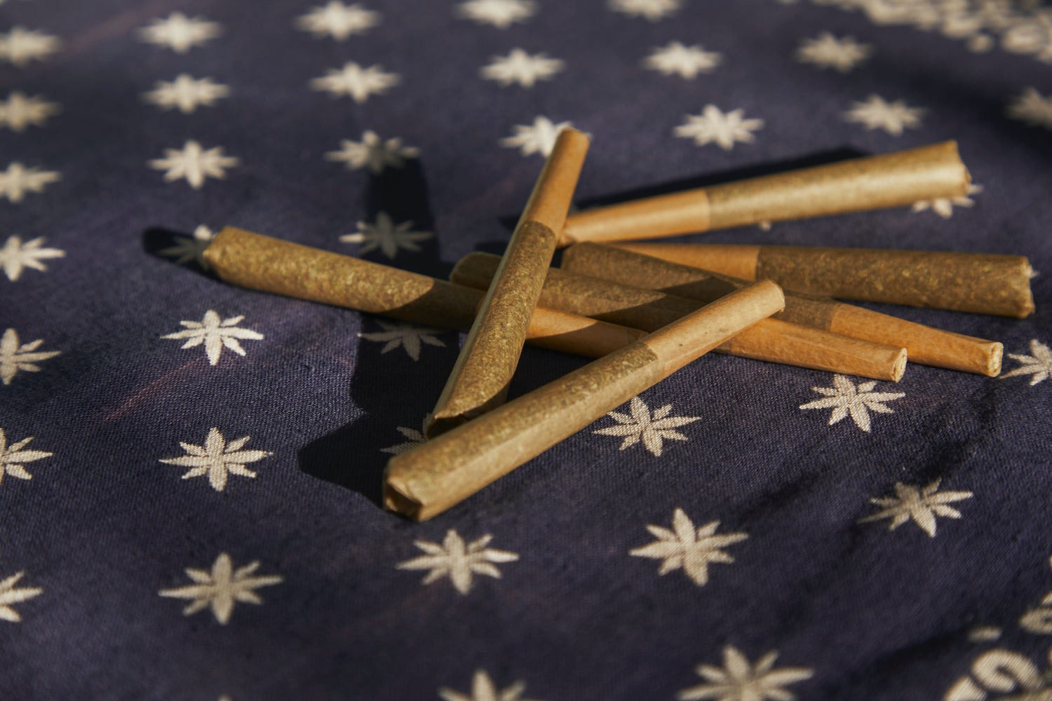 Smoke of the Shaman's Vision - Herbal Joint Recipe