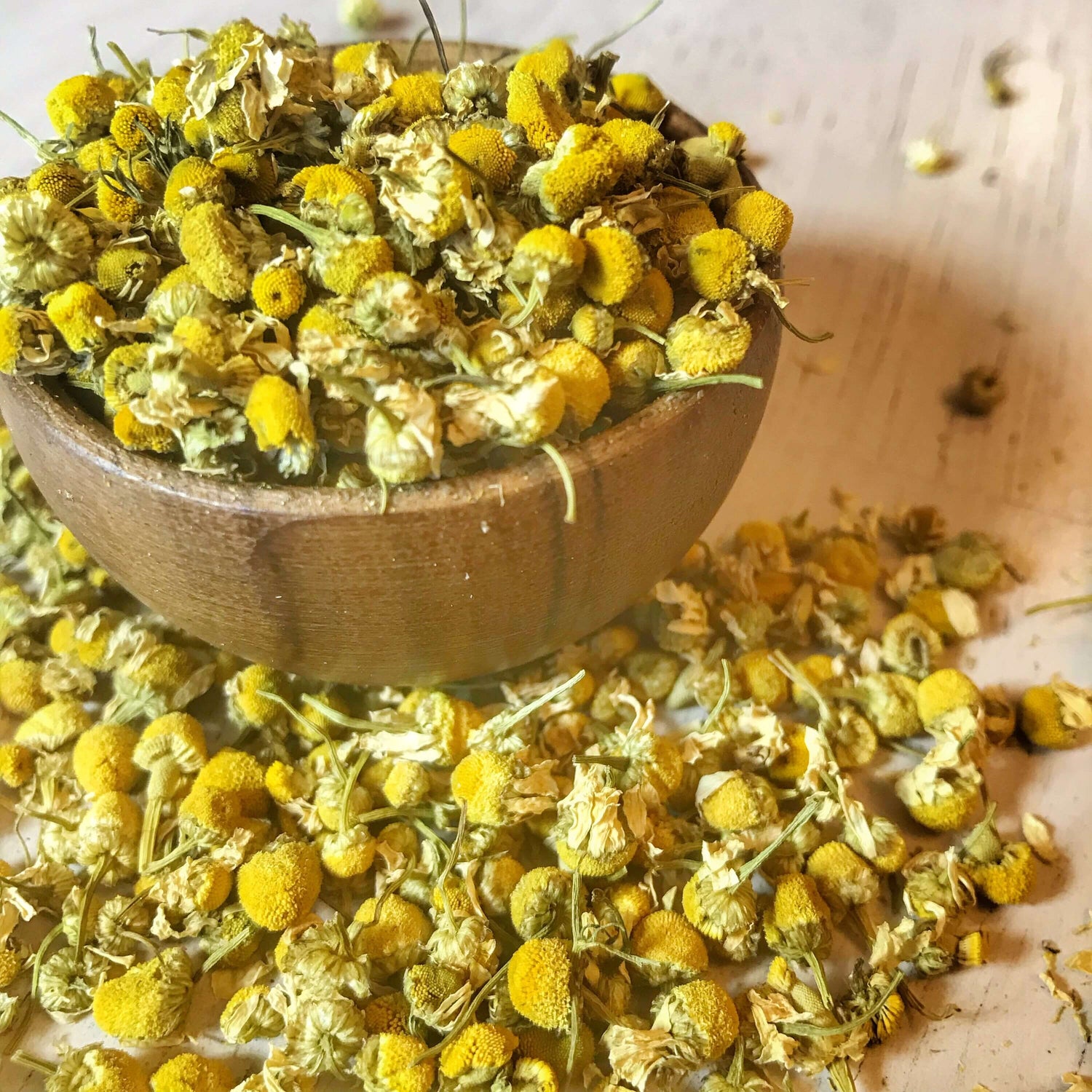 Loose dried chamomile flowers from Sacred Plant Co spread on a wooden surface, capturing the essence of high-quality organic herbs.