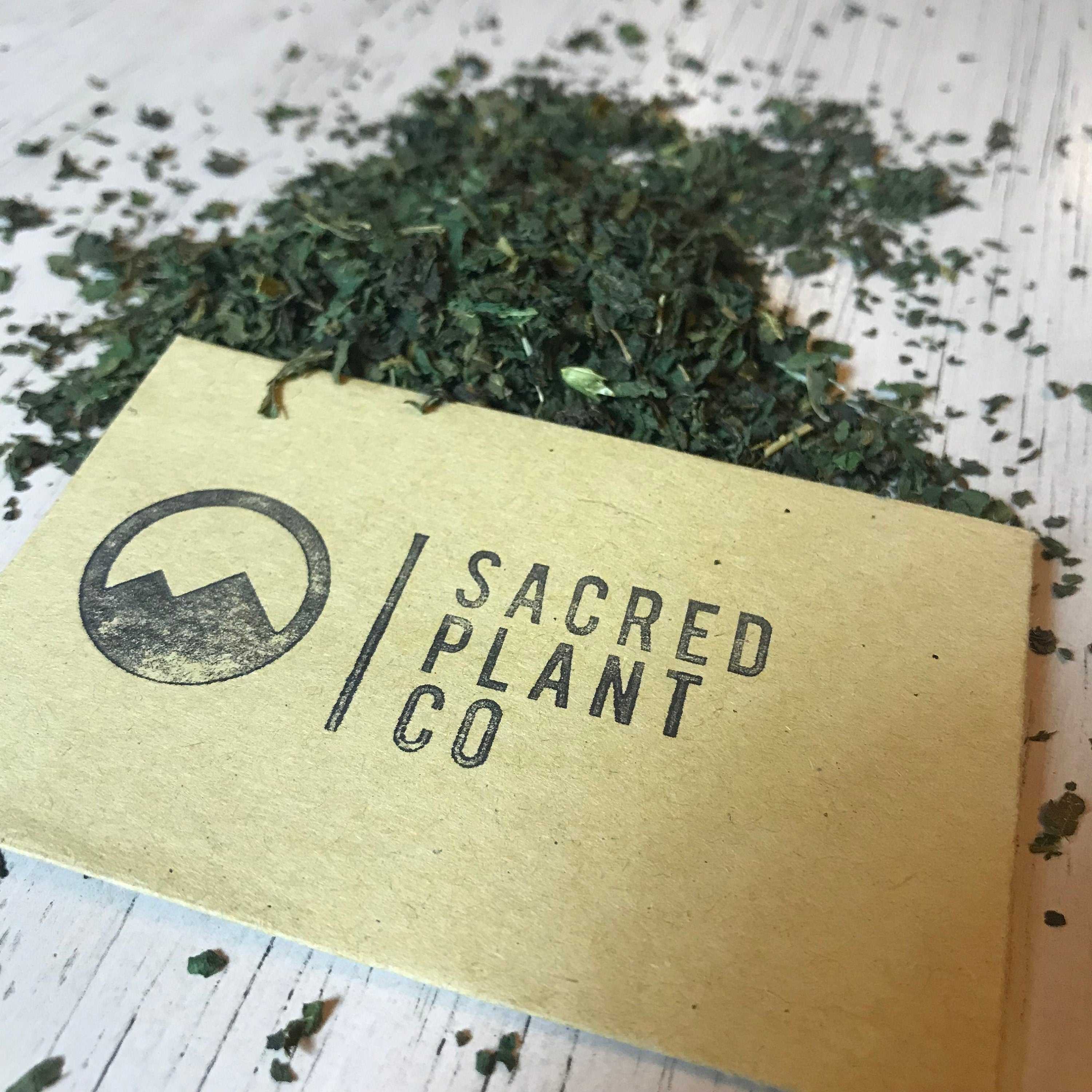 An angled view of a natural-colored business card for Sacred Plant Co, resting on a white painted wooden surface partially covered by loose dried stinging nettle leaves. The card is printed with the company&
