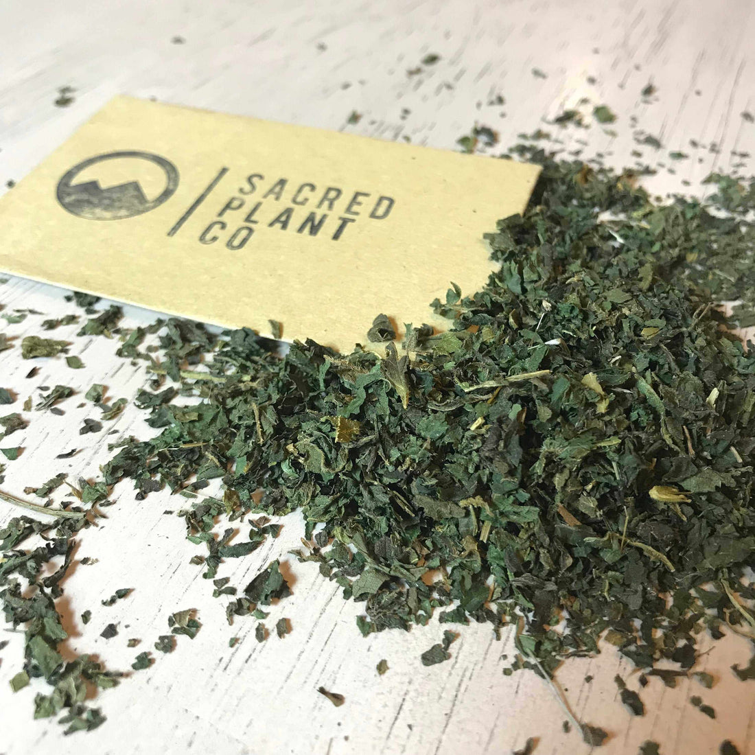 Close-up of loose dried stinging nettle leaves scattered on a white wooden surface, with a business card for Sacred Plant Co placed on top. The card features the company&