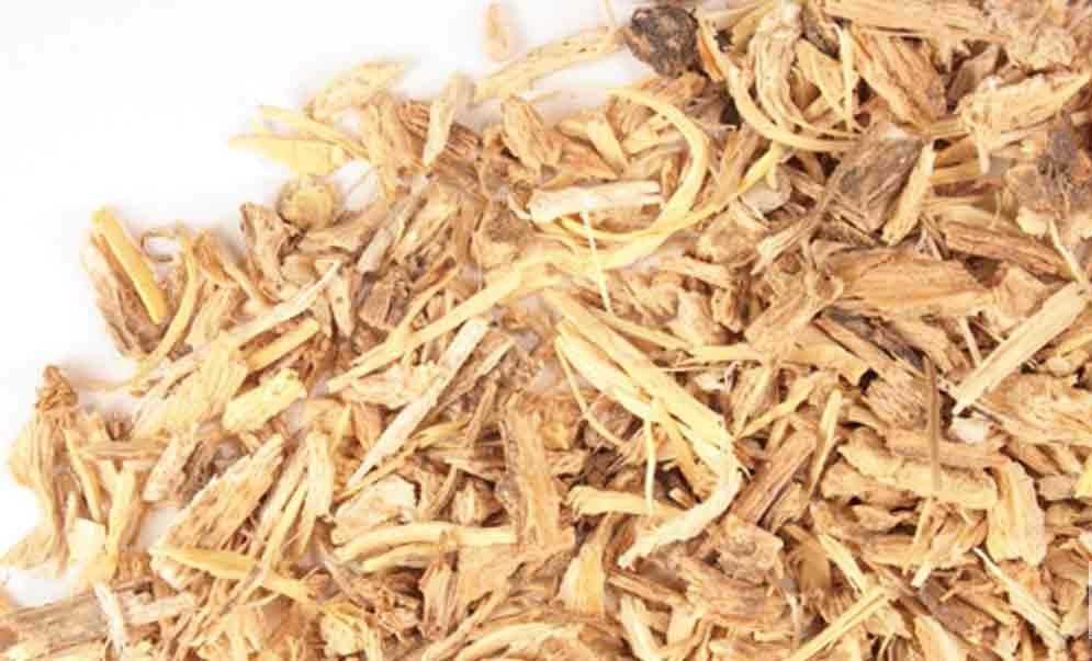 Angelica Root Premium Cut &amp; Sifted - Bulk Angelica Archangelica &
