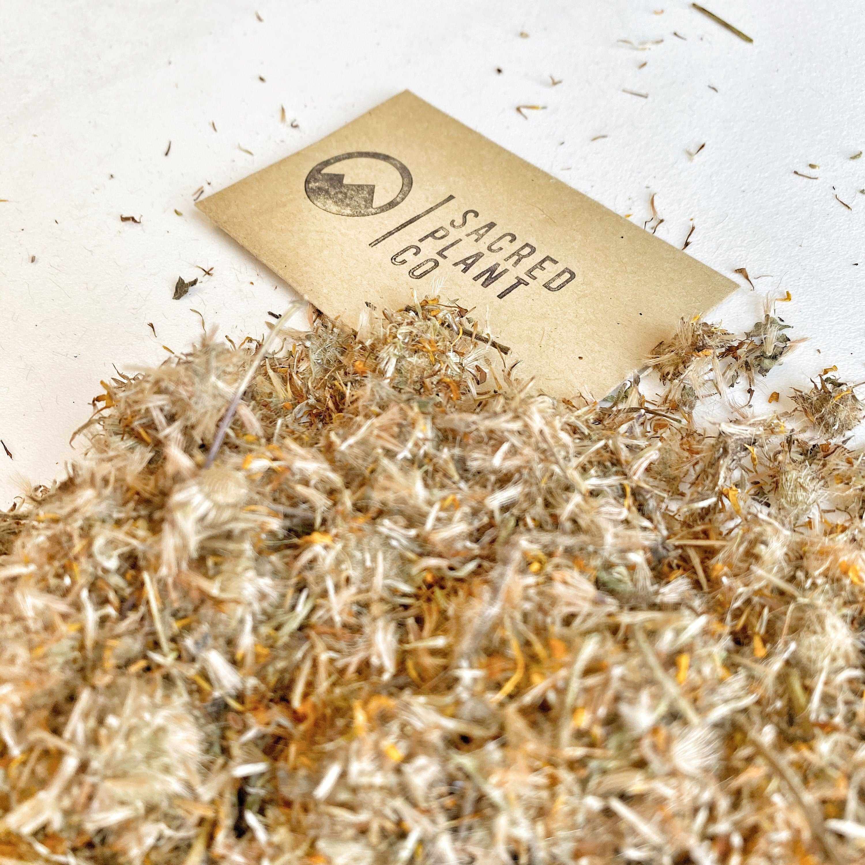Sacred Plant Co’s dried Arnica Flowers, gently lit with natural light, displaying their fine, airy texture and healing properties, oil extractions, on a white flat surface.