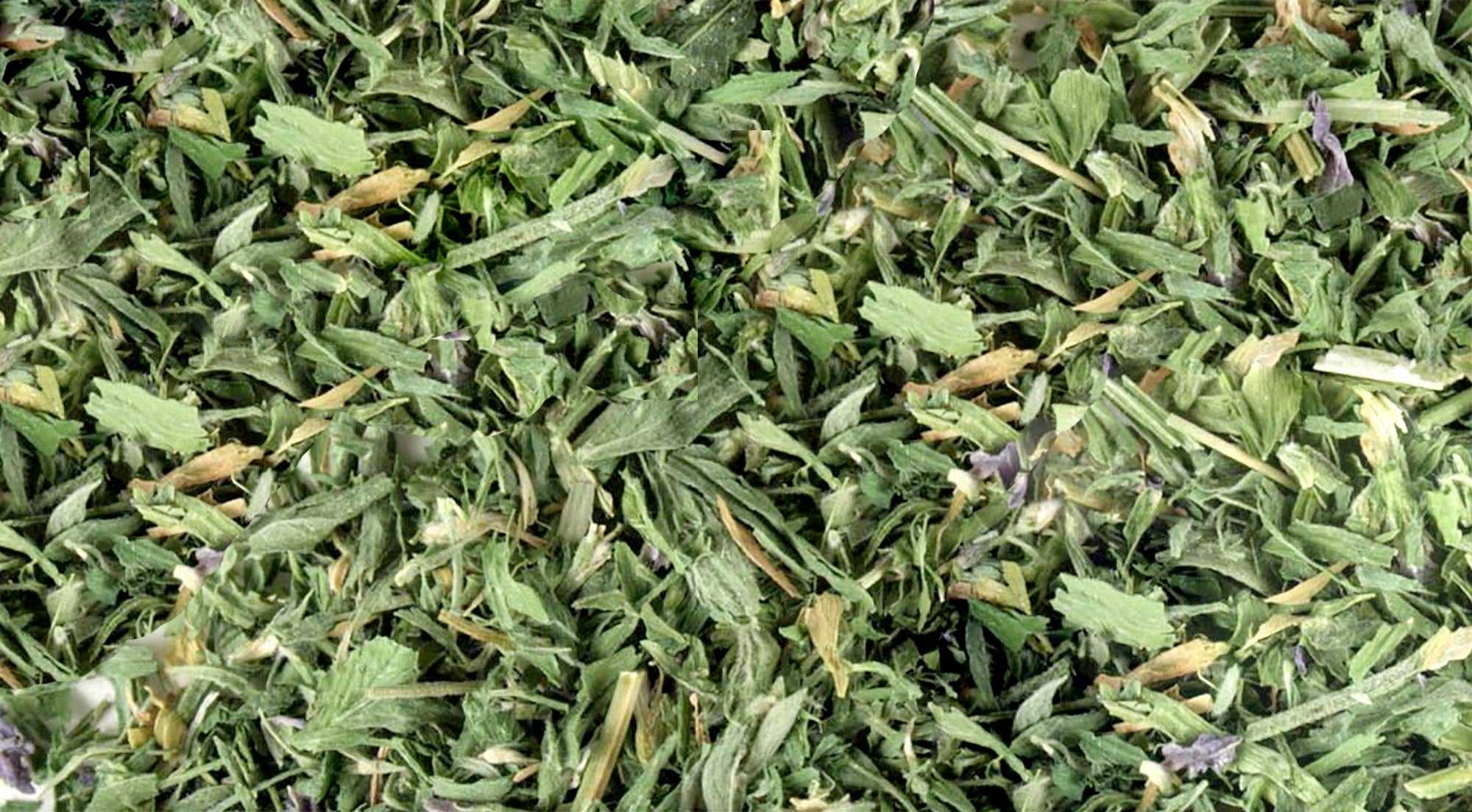 Alfalfa Herb Leaf Bulk | 1 LB | Medicago Sativa | Powdered Alfalfa Bulk Herbs All Sacred Plant Co