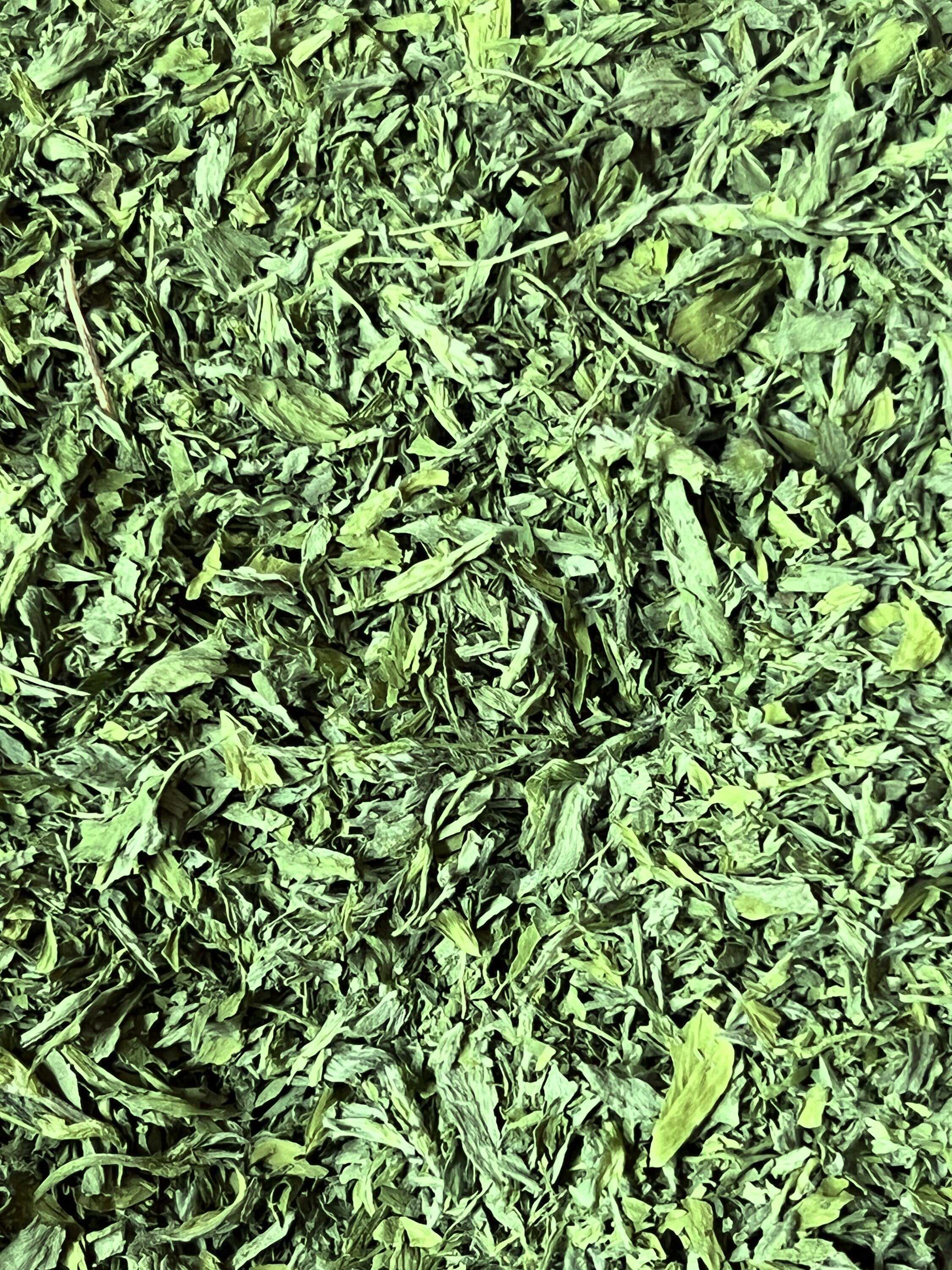 Alfalfa Herb Leaf Bulk | 1 LB | Medicago Sativa | Powdered Alfalfa Bulk Herbs All Sacred Plant Co