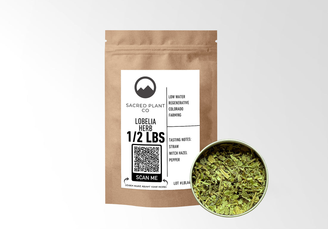 Lobelia Herb Bulk - High Quality Lobelia inflata - Sacred Plant Co