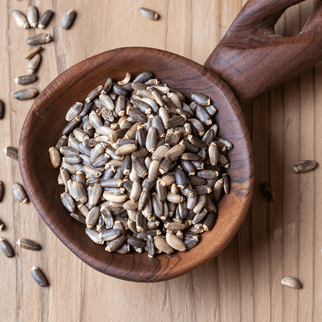 Top-quality Milk Thistle Seeds from Sacred Plant Co, showcased in a handcrafted wooden bowl on a rustic surface.