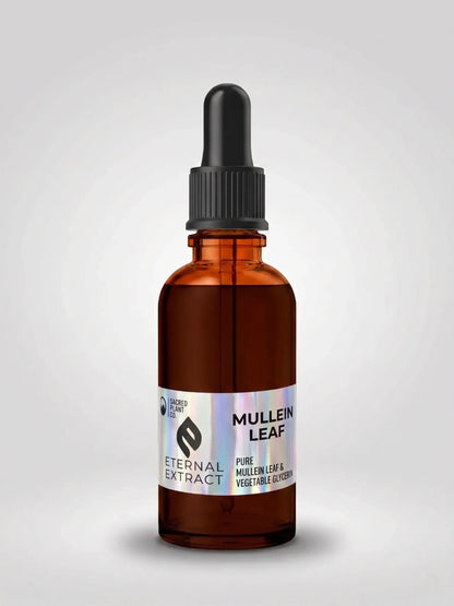A one-ounce amber glass dropper bottle of Mullein Leaf Tincture by Sacred Plant Co, isolated on a white background. The bottle features a holographic Eternal Extract label detailing it as a pure Mullein Leaf and vegetable glycerin blend, formulated for natural respiratory support and soothing lung relief.