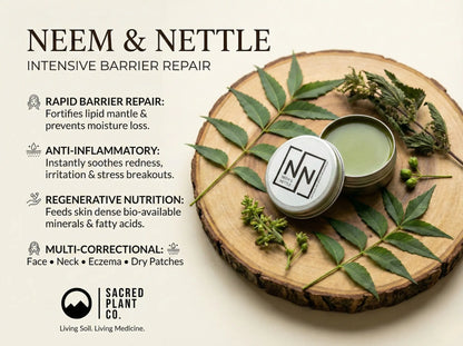 Infographic detailing benefits of Neem &amp; Nettle Salve: Rapid Barrier Repair for lipid mantle, Anti-Inflammatory for redness, Regenerative Nutrition with bio-available minerals, and Multi-Correctional use for Eczema and Dry Patches.