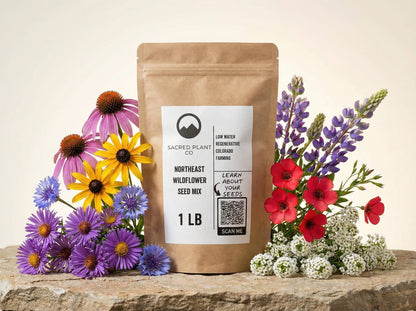Studio image of Sacred Plant Co’s Northeast Wildflower Seed Mix bag surrounded by cut Northeast wildflowers, including purple coneflower, black-eyed Susan, blue cornflower, New England aster, lupine, and scarlet flax.