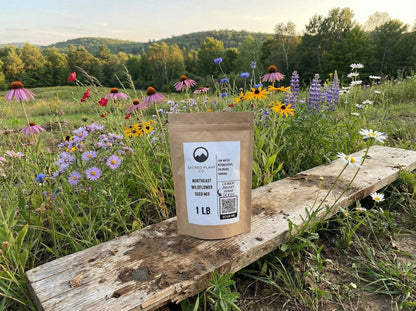 Sacred Plant Co’s Northeast Wildflower Seed Mix bag displayed in a blooming Northeastern wildflower meadow with purple coneflower, black-eyed Susan, Shasta daisy, cornflower, New England aster, perennial lupine, and other mix species.