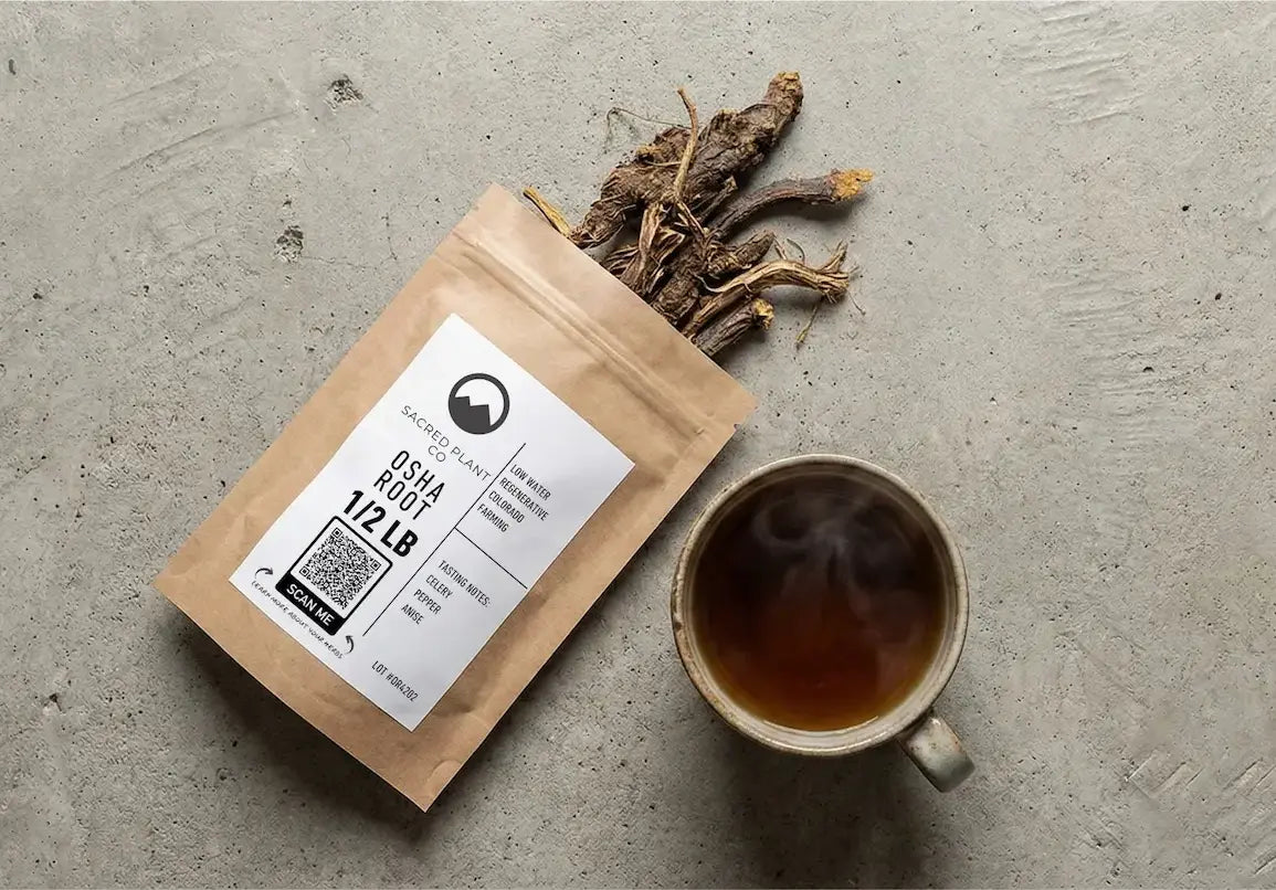 A half-pound bag of wildcrafted Ligusticum porteri roots beside a steaming mug of Osha tea, showcasing a rich, dark extraction.