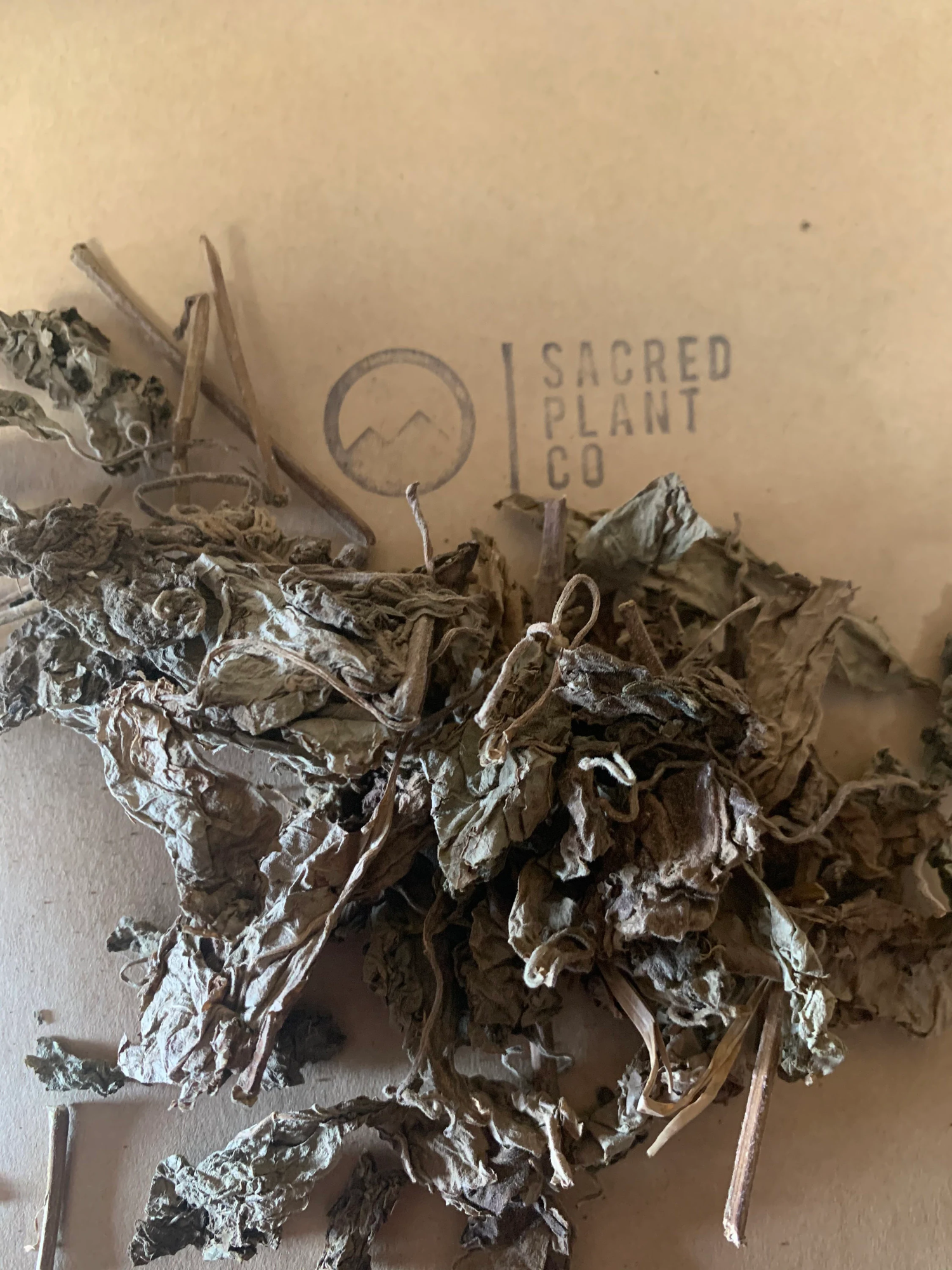 Dried patchouli for purchase, a heap of crinkled Pogostemon Cablin leaves from Sacred Plant Co with a stamped logo, perfect for making a homemade patchouli tincture.