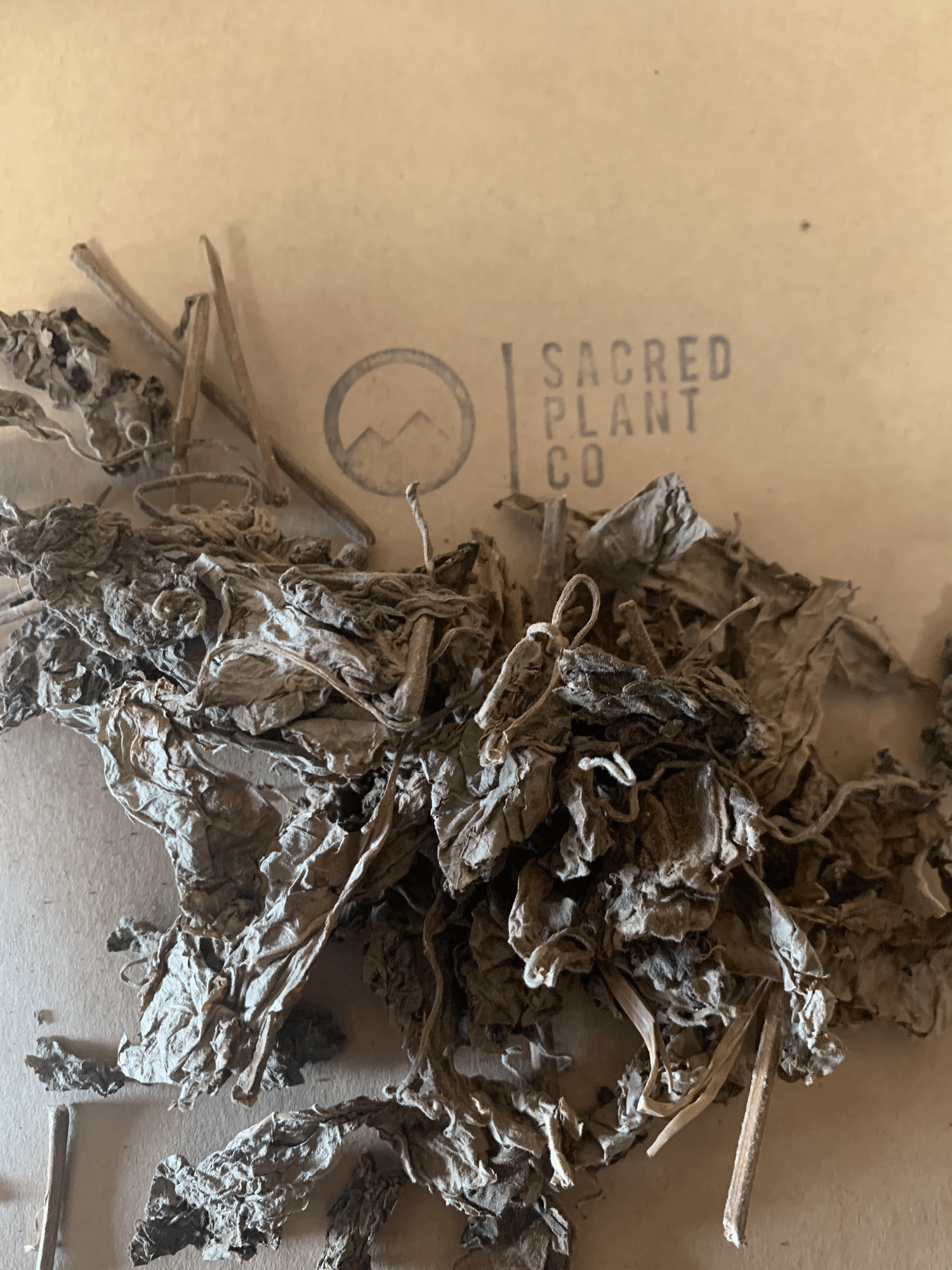 Organic Patchouli Leaves arranged on Sacred Plant Co’s kraft packaging, displaying premium dried herb texture and branding.