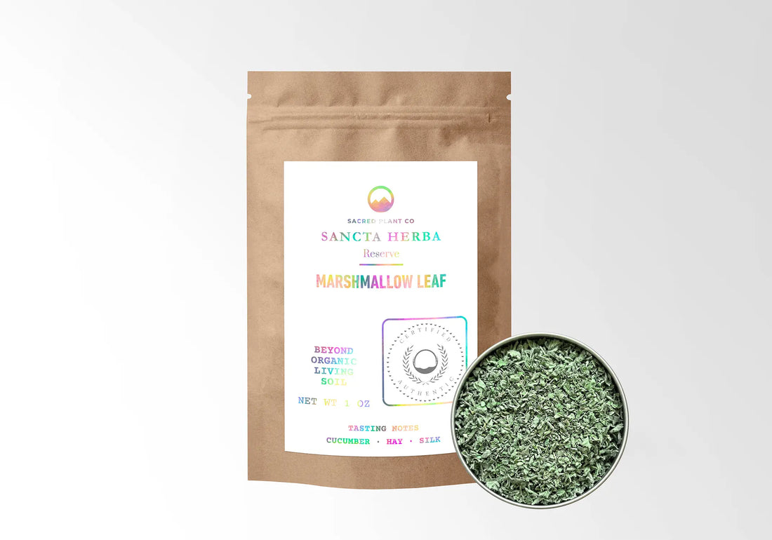 Marshmallow Leaf, Whole Loose Leaf (Althaea officinalis): Dried Mallow Tea Herb, US-Grown Sancta Herba Reserve