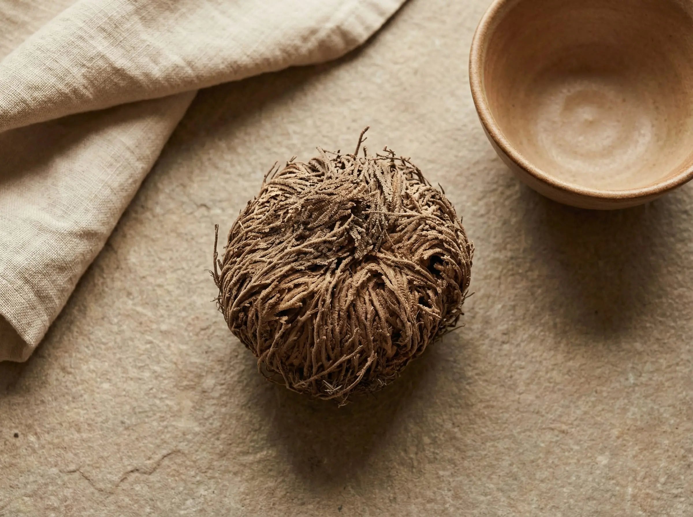 Close-up dried Resurrection Plant with warm ceramic tones and linen textile styling.