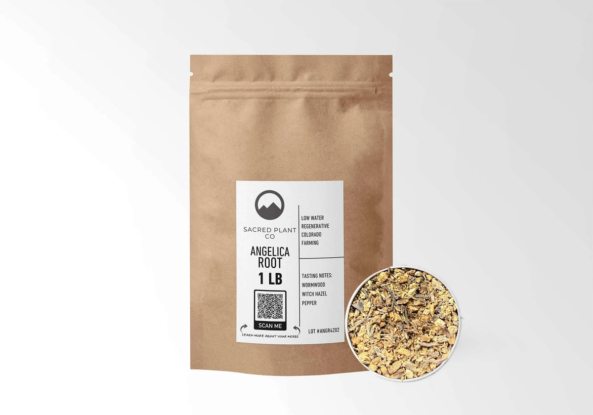 Sacred Plant Co Angelica Root 1 LB kraft stand-up pouch shown with a sample of the herb.